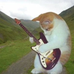 rockstar lifestyle might not make it