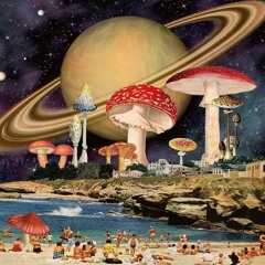 s p a c e f l o w e r s  [Mini EP]