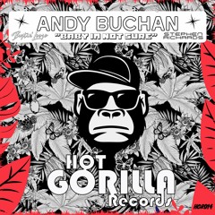 Andy Buchan - Baby I'm Not Sure (Bustin' Loose Remix) Clip