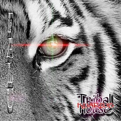 "TriBaL HoUsE" (FALU-Tribe MixX) *LIVE session*