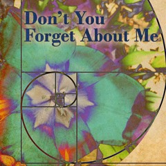 Don't You Forget About Me (Simple Minds Cover) K2 & the Three, TexMex Shaman, Cosmic Keanu