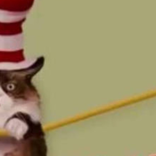 wtf idknotsure x txkrunk open prod Rollie