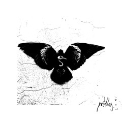 Vulto