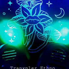 Ethno 13