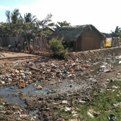 Malária em Moçambique