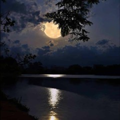 مناجاة القمر .. كلمات الأستاذ المنفلوطي رحمه الله