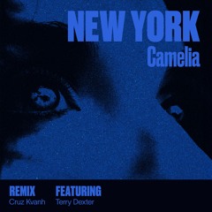 New York (feat.Terry Dexter) [Cruz Kvanh Remix]