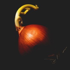 NO ONION //