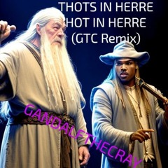Thots in Herre(Hot in Herre GTC Remix)
