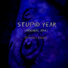 Stupid Year (original Mix)