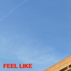 FEEL LIKE