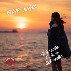 Gelmedin Gülüm Gelmedin (Duygusal bir şarkı)