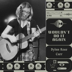 Wouldn't Do It Again