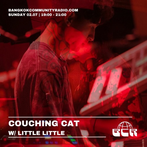 Couching Cat w/ Little Little - 2nd July 2023