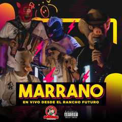 Stream Grupo Marrano music | Listen to songs, albums, playlists ...
