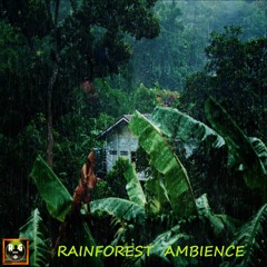 Rainforest Ambience with Sounds of Rain, Jungle Animals and Thunder in the Distance