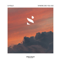 D.Polo - Where Did You Go