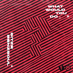 Sitze & Benzsoul - What Would You Do (Original Mix)