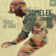 Peace Of Mind (feat. Jakke)