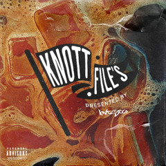 Don't Talk, No Chatter (Knott Files Vol 2)