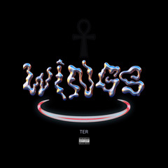Wings (Interlude 1) 528Hz