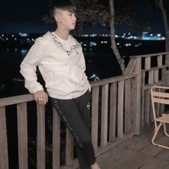 vietmixx2