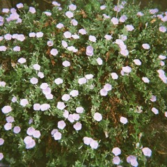 if we make it through december