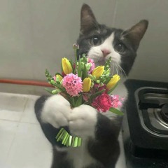 nghe đi rồi ngủ