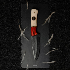 [PREMIERE] | Finalversion3 - Vertebra [ETG063]