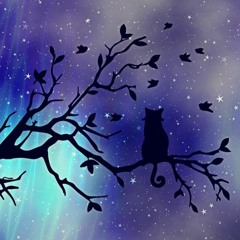 猫とサナトリウム