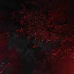 tothegood - urself (unreleased)