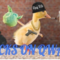Ducks on Qwack