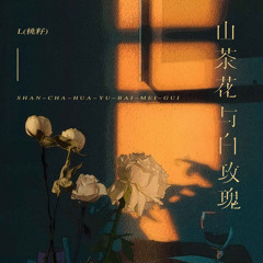 山茶花与白玫瑰 (伴奏)