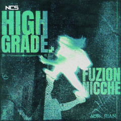 FUZION & Nicche - HIGH GRADE [NCS Release]