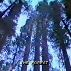 The Forest
