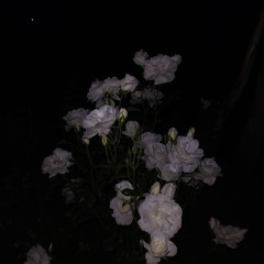 Think out loud feat.HawkｰI