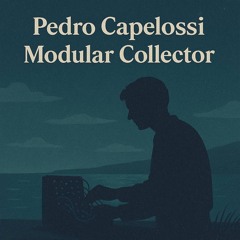 Free DL: Pedro Capelossi - Modular Collector (Original Mix)