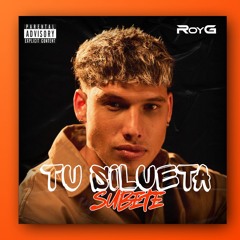 [FREE DL] Diegote & Lirico en la Casa - Tu Silueta vs Subete (RoyG Mashup)
