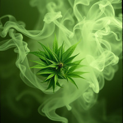False Fire Fi Real Flame