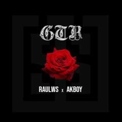Raul Ws  X Akboi  GTR