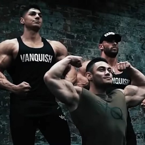 GYM HARDSTYLE - Demons (Virtus Hardstyle Remix)