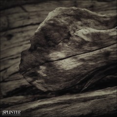 Splinter