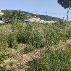 Desherbe au bon moment (Concert pédagogique permacole)