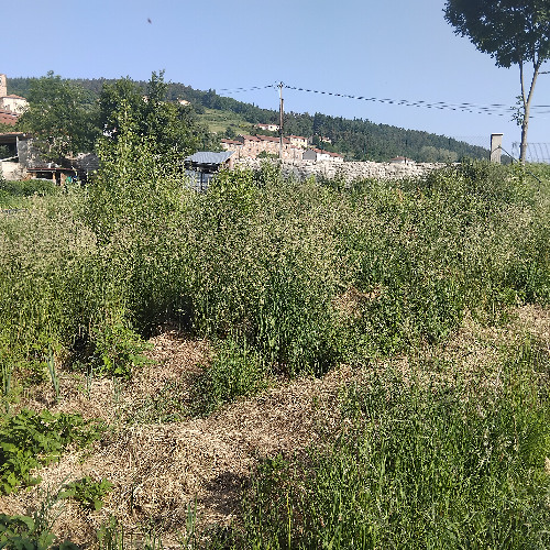 Desherbe au bon moment (Concert pédagogique permacole)