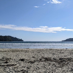 Pachena Bay 2025 Demo - Caraboo