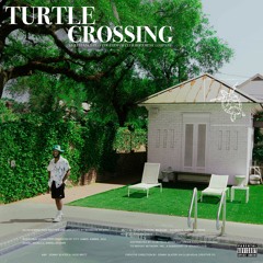 Turtle Crossing EP