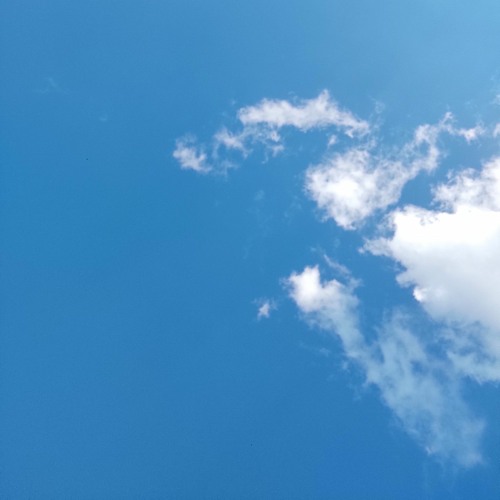 One step forward three steps back