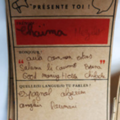 Arabe, roumain, espagnol et anglais