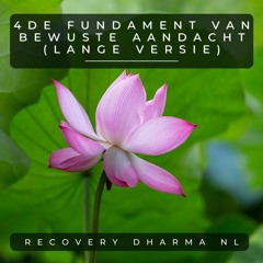 Dhamma's - Vierde Fundament Van Mindfulness (Extensive Version)