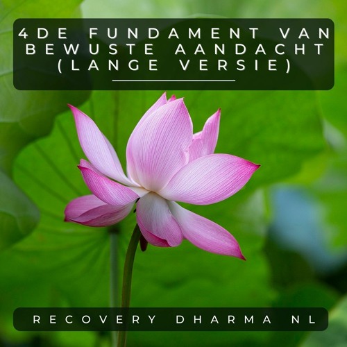Dhamma's - Vierde Fundament Van Mindfulness (Extensive Version)